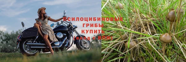 соль курить ск Заволжск