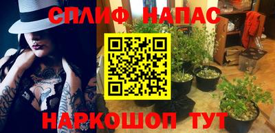 соль ск Шахты