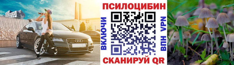 Галлюциногенные грибы MAGIC MUSHROOMS  Карасук 