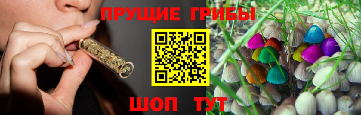 Карасук  Галлюциногенные грибы MAGIC MUSHROOMS  Вход с VPN 